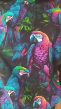 Bluza z kapturem papugi
