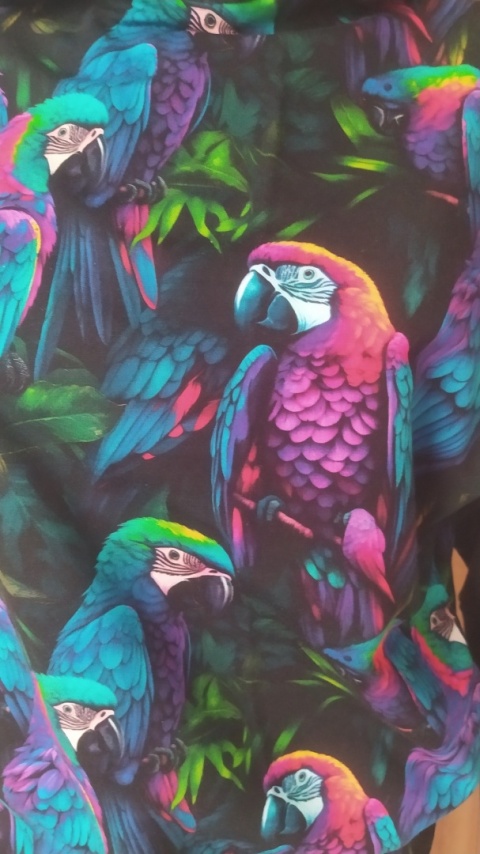 Bluza z kapturem papugi